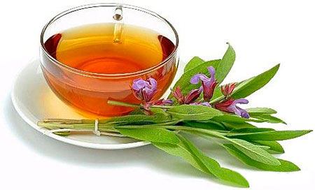 shalfey dlya ovulyacii 1